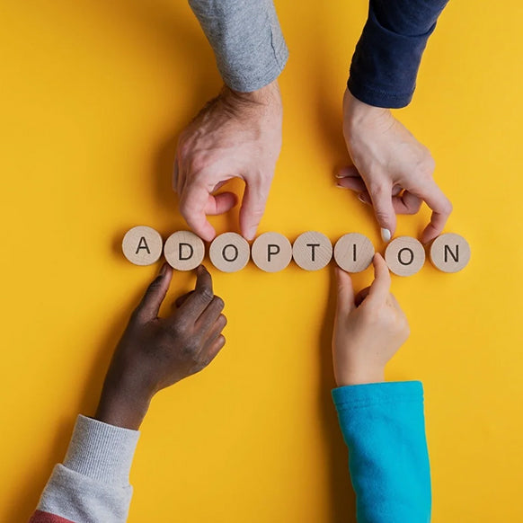 Adoption